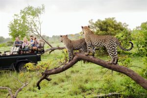 Collaborations to build sustainable tourism