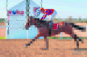 IN THE SADDLE: Focus turns to fillies and mares on Friday