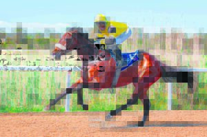IN THE SADDLE: Racing action speeds up