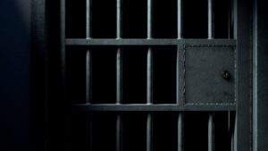 Company employees nabbed for theft of food worth R400 000