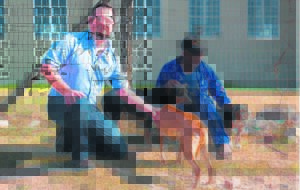 Donation drives animal sterilisations