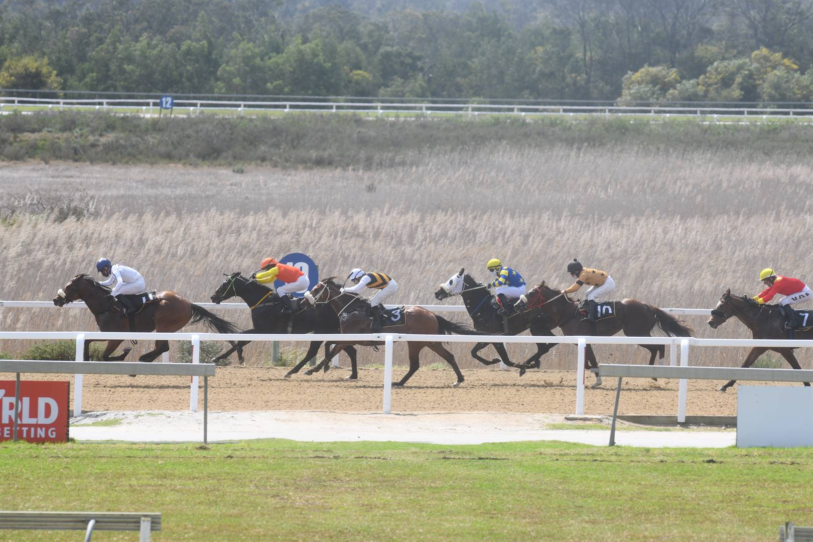 IN THE SADDLE | ‘Babies’ have final say as season comes to a close