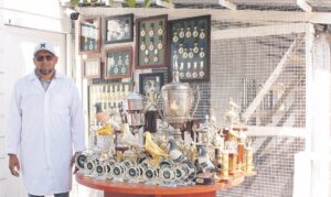 Baaise Jappie is wéér as OP Unie-kampioen verkies