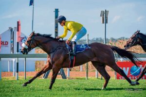 Stamina in the spotlight