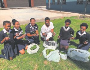 Seyisi Primary wins prize at food gardening competition