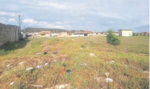 Community pleads to bring back ‘the parky’