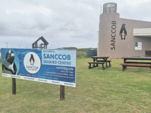 Animal NGOs to benefit from Grass Roof event