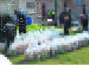 Operation Fitrah held in Gelvandale