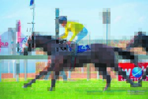 The race is on . . .