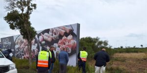 Walker Drive-buurtwag vind lewelose liggaam naby Baywest