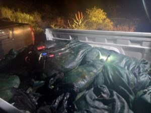 Police confiscate abalone worth half a million Rand