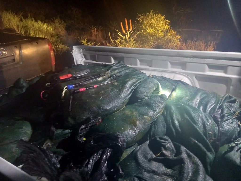 Police confiscate abalone worth half a million Rand