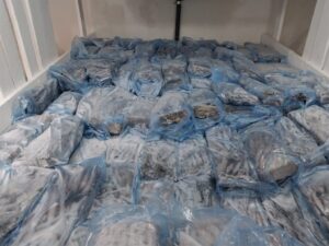 Squid worth hundreds of thousands confiscated from boat during operation Sikhona