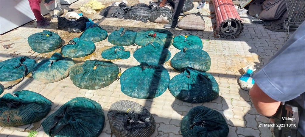 A total of 35 bags containing  3 413 shucked units
