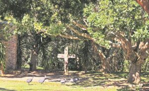KYK | Baaise kerk spog met unieke ‘stadswoud’