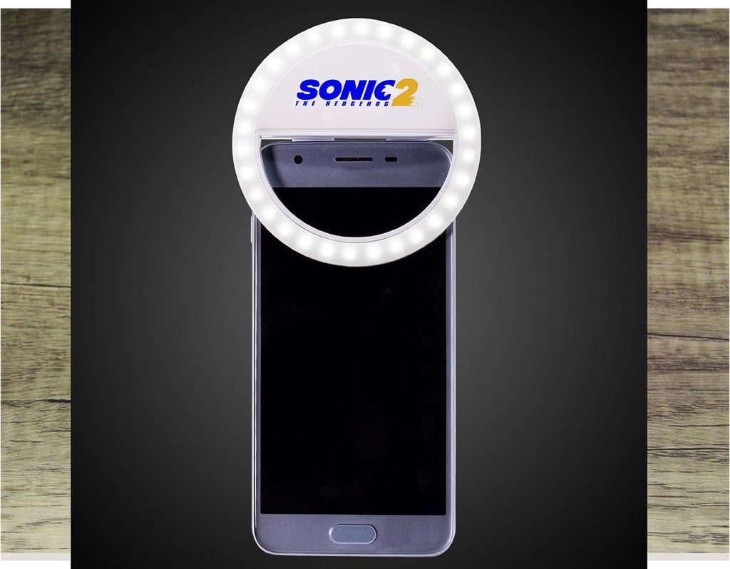 Sonic the Hedgehog 2 