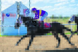 Friday is Derby Day
