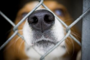 AWS PE launches membership campaign