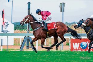 IN THE SADDLE: Nine races on cards for Friday meeting