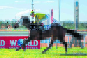 IN THE SADDLE: Gear up; the new racing season is here!