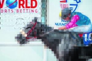 IN THE SADDLE: The race is on for Founders Trophy on Friday