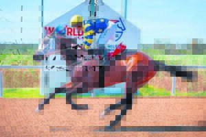 IN THE SADDLE: Three listed races ahead at Fairview track