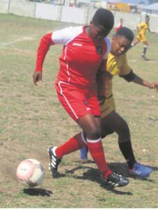 Volcano Ladies are champs