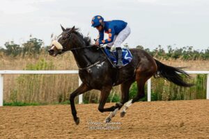 2000th career winner for top jockey