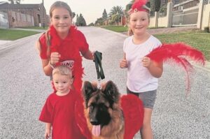 RED FEATHER RUN: Last chance to enter!