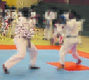 Oyama Kara Dojo hosts successful tournament