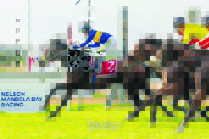 East Cape season nearly at an end