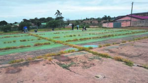 ‘Neglected’ park safety hazard for elderly