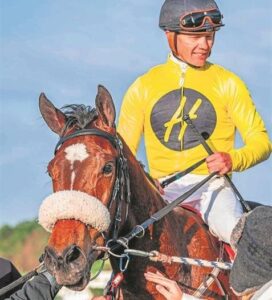 IN THE SADDLE: Find out which EC racehorse is the stamina champion