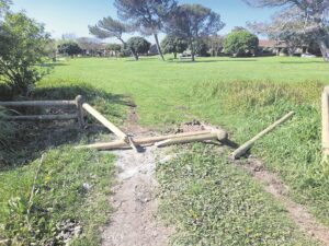 Motorists threaten safety of park-goers in Gqeberha’s Ward 1