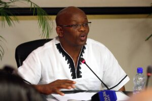 NMB Civil Society Coalition supports change in Bay leadership model