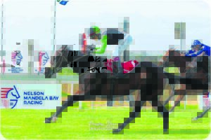 Smith, Greeff show why they are among SA’s top trainers