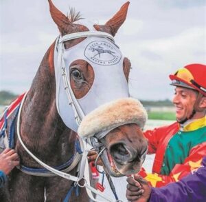 IN THE SADDLE: Lady’s Slipper Stakes action on the track this week