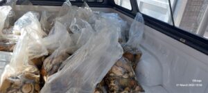 Abalone worth over R1 million confiscated in Seaview