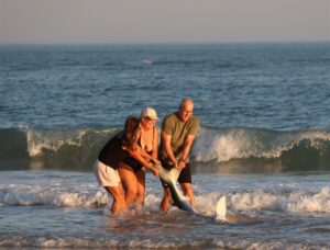 Heroic rescue of stranded shark in Sardinia Bay