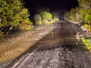Nelson Mandela Bay Floods: six fatalities, hundreds displaced, and extensive damage reported
