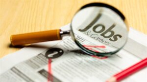 Baakens Valley: Upgrades generated over 1 100 jobs
