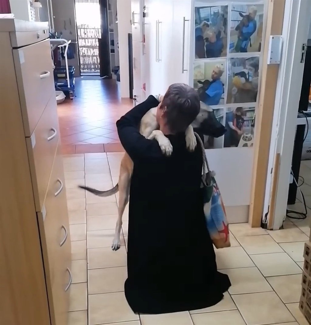 chase mount pleasant vet