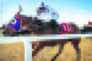 IN THE SADDLE: Trainers battle it out for East Cape title