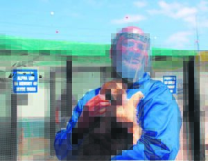 SPCA receives executive nod