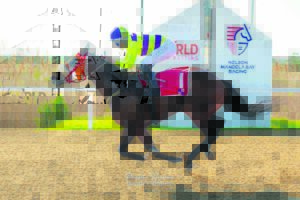 IN THE SADDLE | Fairview track will start South Africa’s biggest racing weekend