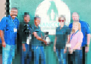 Boost to save endangered African penguin