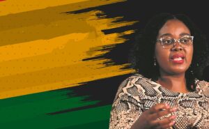 NMB Human Settlements showing improvement with housing delivery projects