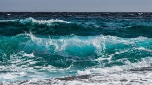 Gauteng man missing at sea in Nelson Mandela Bay