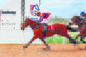 Racing action, family fun at Algoa Cup Day