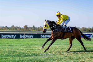 IN THE SADDLE: East Cape trainers are gunning for the win